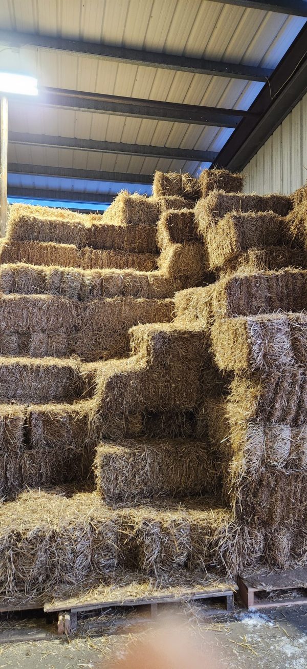 Straw Bale  #35